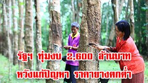 แก้ปัญหาราคายางตกต่ำ